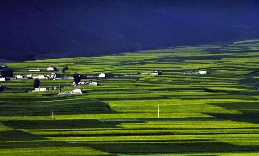 【農(nóng)業(yè)政策資訊】中央財政助農(nóng)業(yè)綠色發(fā)展，這才是未來農(nóng)業(yè)發(fā)展方向！