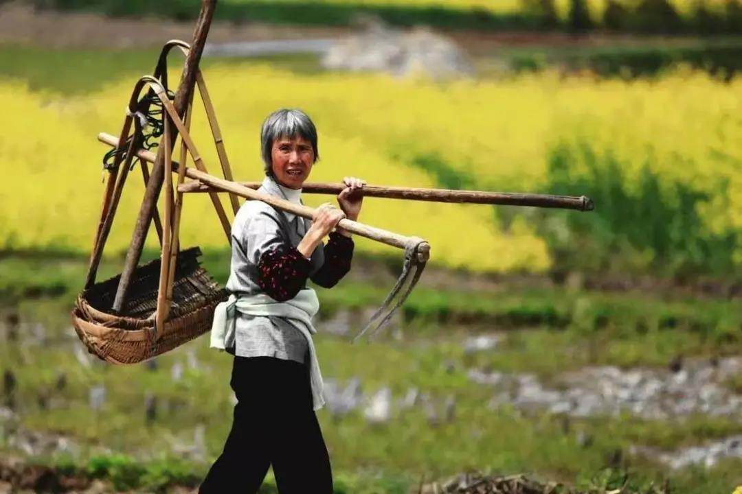 【農(nóng)業(yè)雜談】未來10年農(nóng)業(yè)改革，將使一半的農(nóng)民成為農(nóng)業(yè)產(chǎn)業(yè)工人