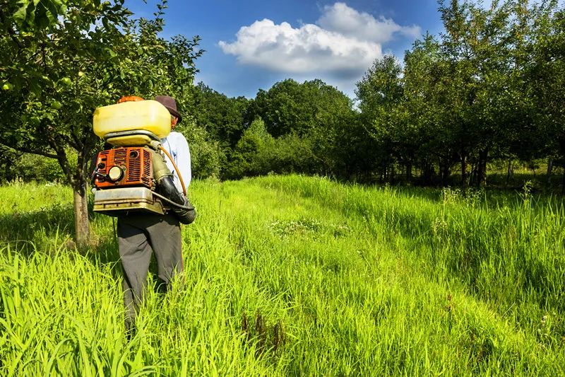 【農(nóng)業(yè)雜談】農(nóng)業(yè)即將迎來驚天巨變！你準(zhǔn)備好了嗎？