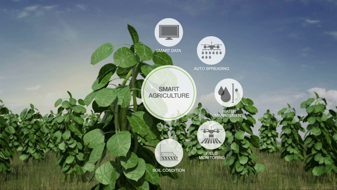 【農(nóng)業(yè)資訊】智慧農(nóng)業(yè)是系統(tǒng)性的，全局性的新生態(tài)