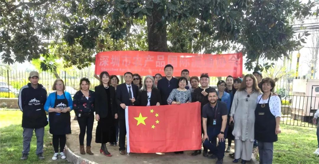 【協(xié)會動態(tài)】深圳市農(nóng)產(chǎn)品國際流通協(xié)會副會長張宇帶隊(duì)赴南美智利考察交流