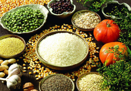 由“種得好”到“賣得好” “龍字號(hào)”綠色農(nóng)產(chǎn)品俏銷全國(guó)