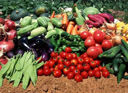 發(fā)展農(nóng)業(yè)應該注冊哪些農(nóng)產(chǎn)品商標?