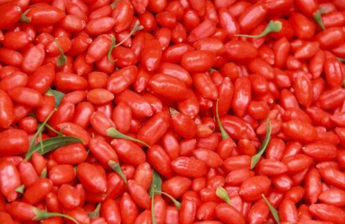 六大產(chǎn)區(qū)枸杞大PK，誰才是你心中的第一?