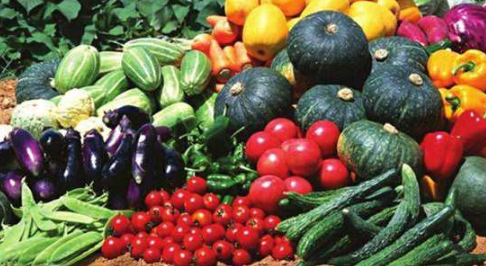 新疆農產品快速通關“綠色通道”健康運營