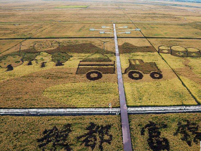 富錦“三個(gè)體系”推動(dòng)現(xiàn)代農(nóng)業(yè)提檔升級