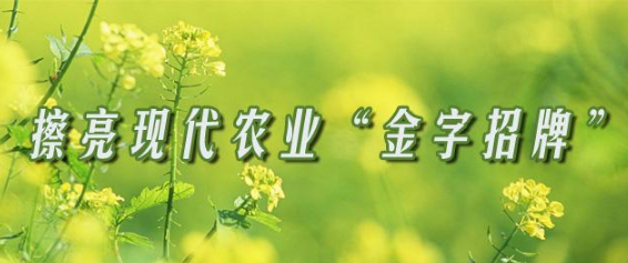 擦亮現(xiàn)代農業(yè)“金字招牌”